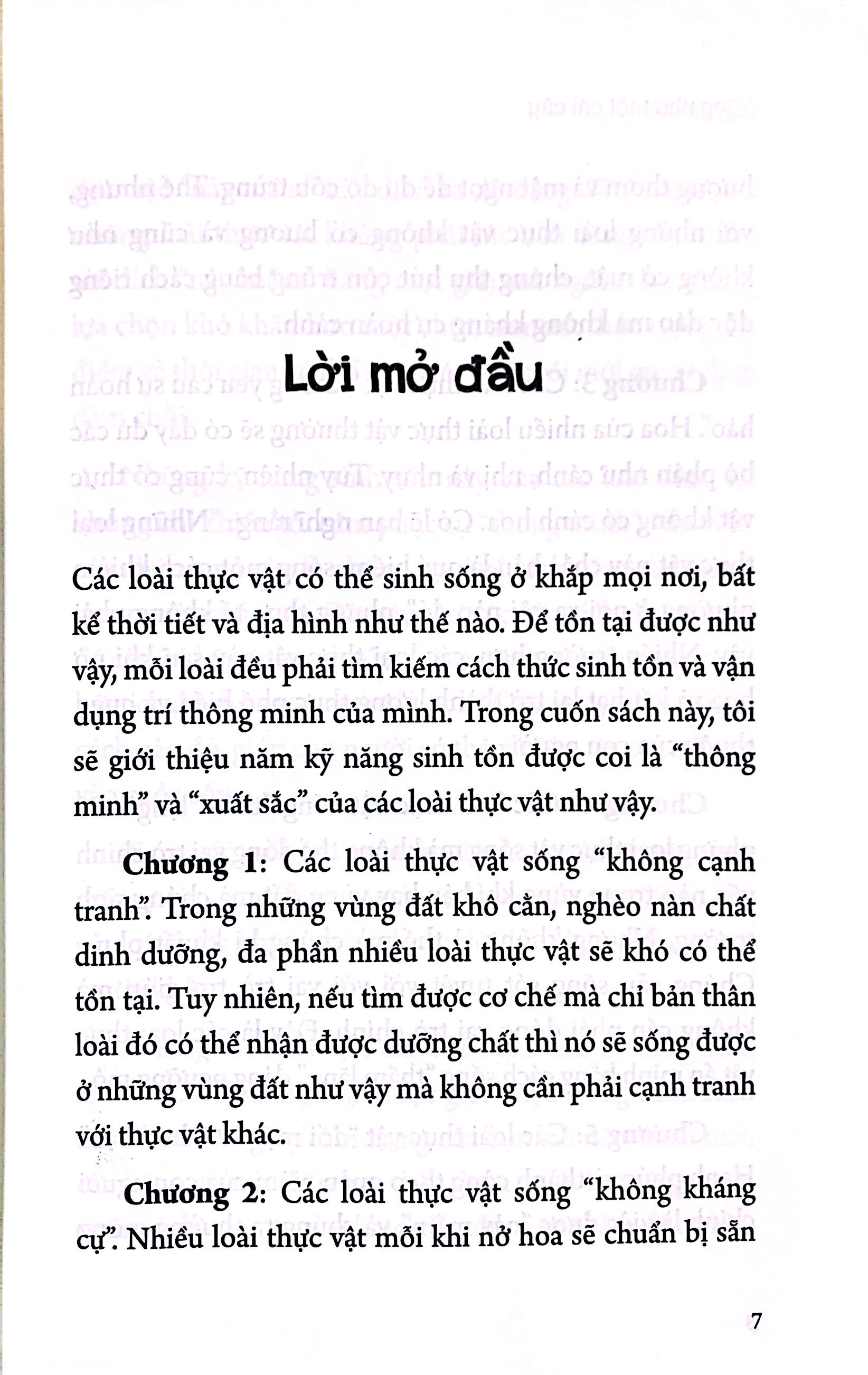 sống như một cái cây: không tham lam, không chiến đấu vô ích, sống khôn ngoan một cách thầm lặng - Ảnh 4
