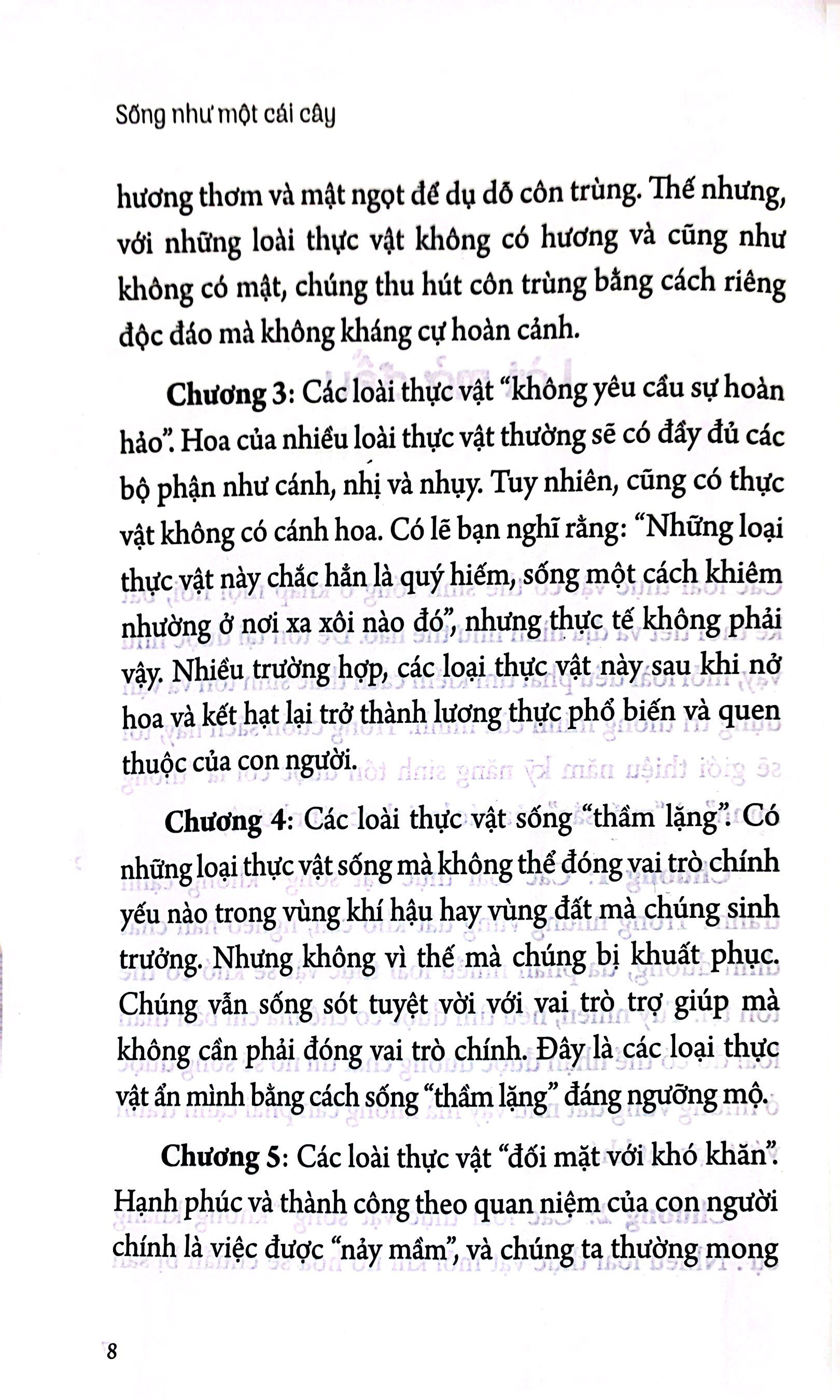 sống như một cái cây: không tham lam, không chiến đấu vô ích, sống khôn ngoan một cách thầm lặng - Ảnh 5