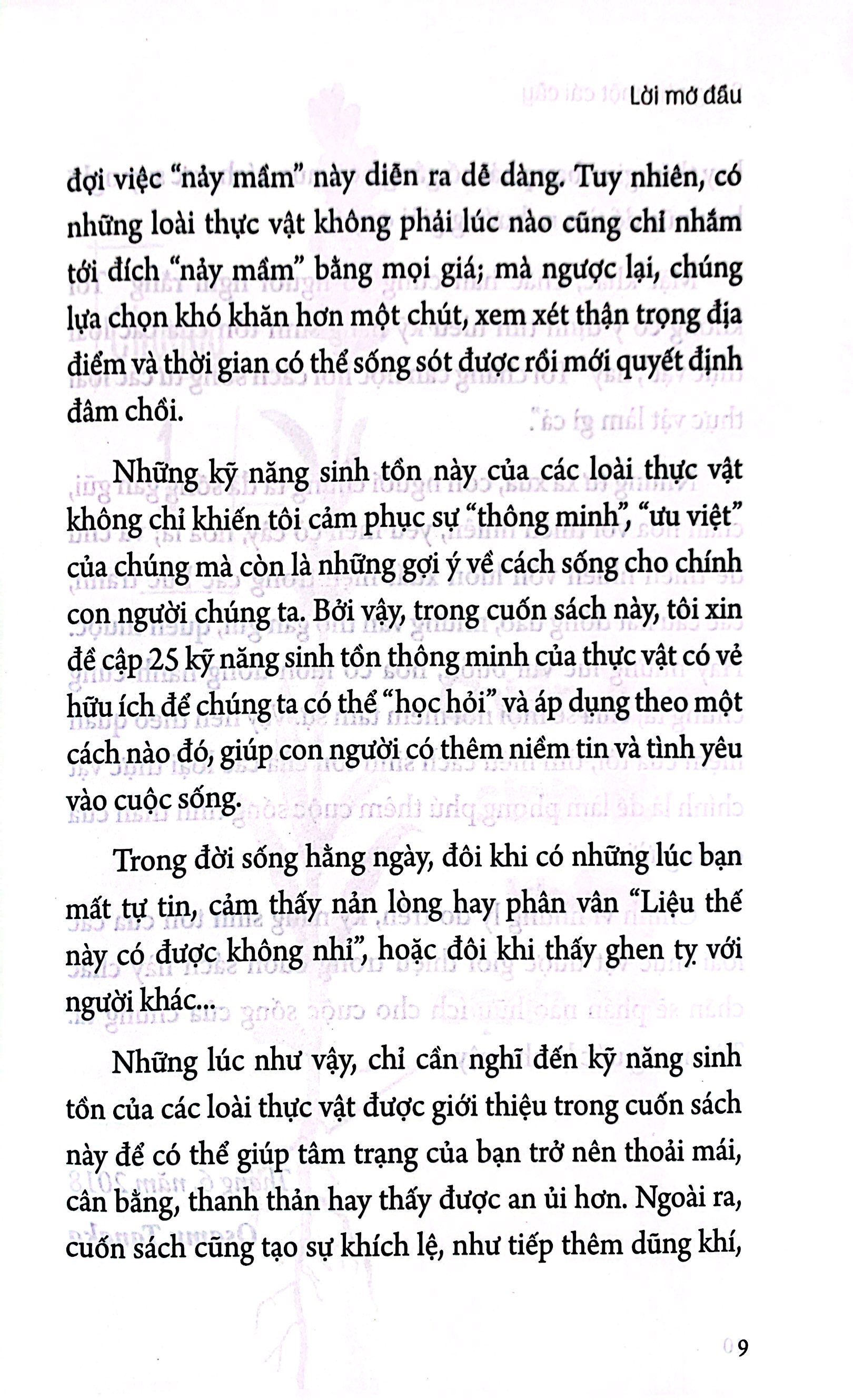 sống như một cái cây: không tham lam, không chiến đấu vô ích, sống khôn ngoan một cách thầm lặng - Ảnh 6