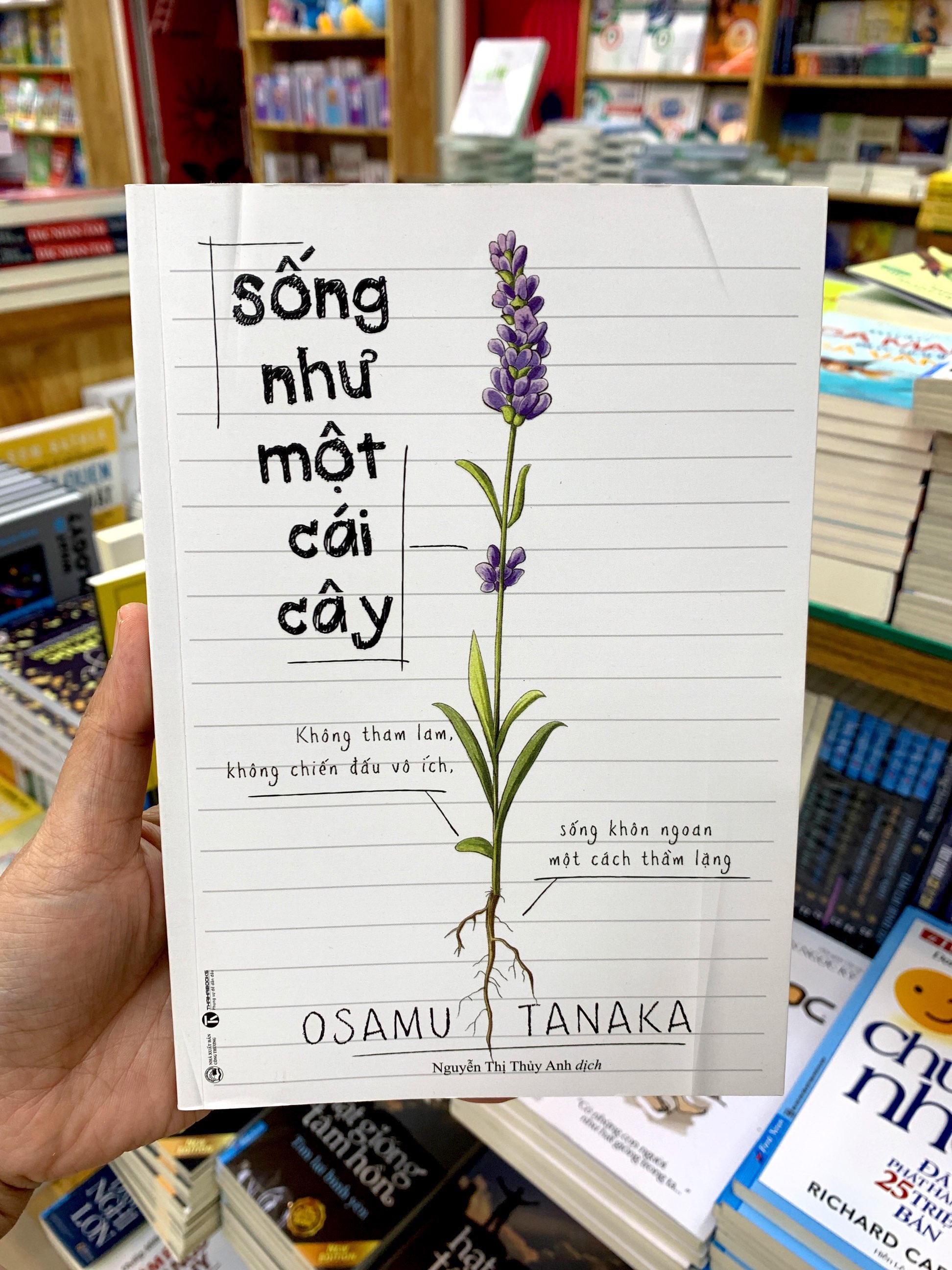 sống như một cái cây: không tham lam, không chiến đấu vô ích, sống khôn ngoan một cách thầm lặng - Ảnh 8