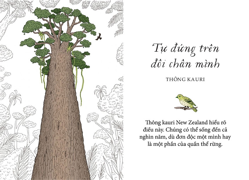 sống như những cái cây - những bài học nhỏ để có nguồn hạnh phúc bất tận (tái bản 2021) - Ảnh 3