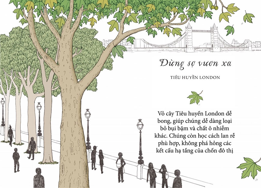 sống như những cái cây - những bài học nhỏ để có nguồn hạnh phúc bất tận (tái bản 2021) - Ảnh 4