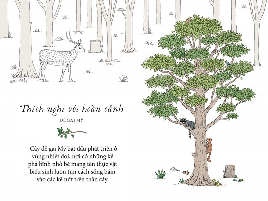 sống như những cái cây - những bài học nhỏ để có nguồn hạnh phúc bất tận (tái bản 2021) - Ảnh 5