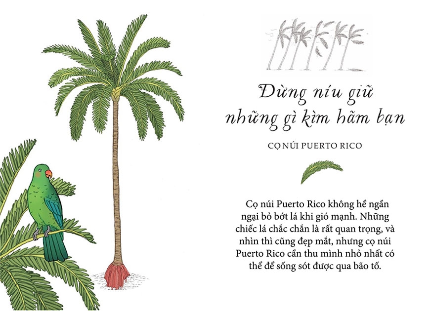 sống như những cái cây - những bài học nhỏ để có nguồn hạnh phúc bất tận (tái bản 2021) - Ảnh 9