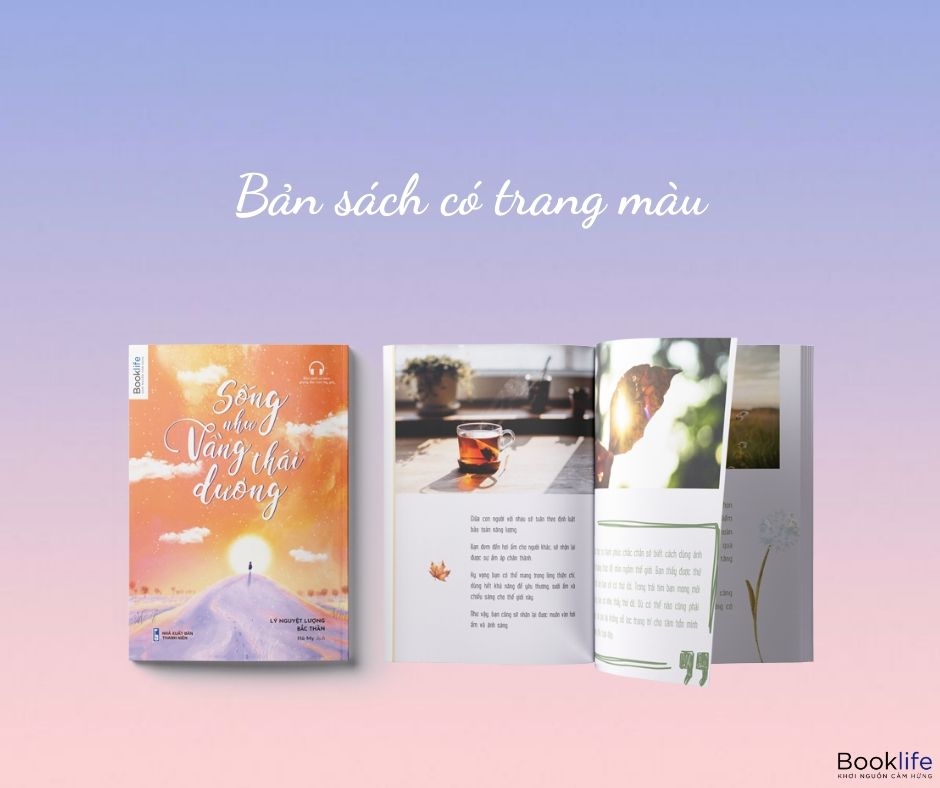 sống như vầng thái dương - Ảnh 7