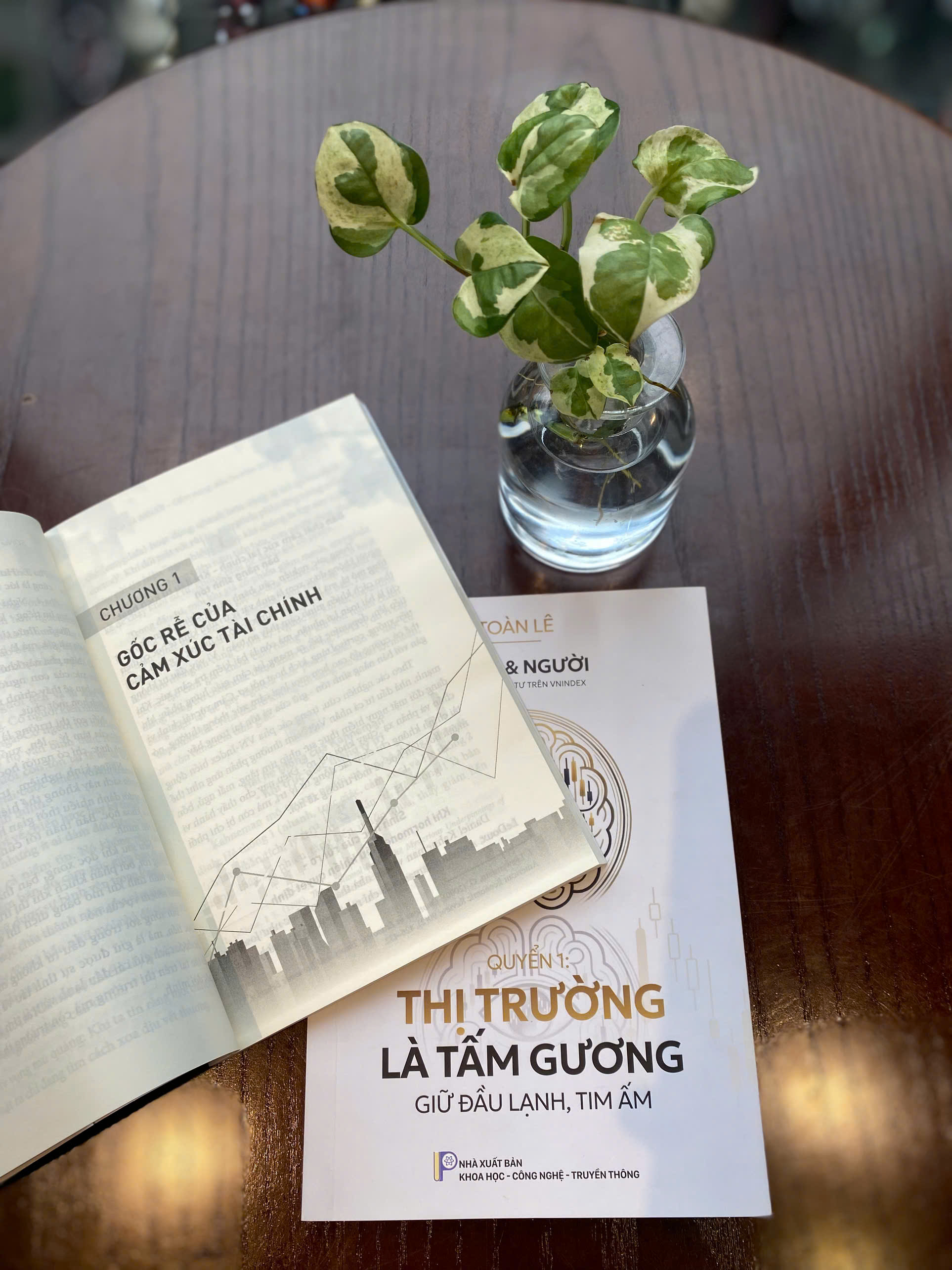 Sóng Và Người - Cẩm Nang Đầu Tư Trên Vnindex - Quyển 1 - Thị Trường Là Tấm Gương - Ảnh 6