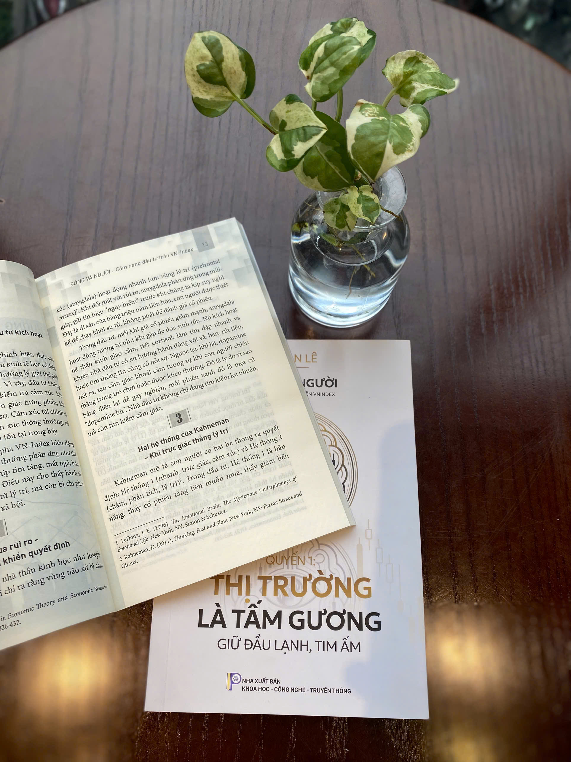 Sóng Và Người - Cẩm Nang Đầu Tư Trên Vnindex - Quyển 1 - Thị Trường Là Tấm Gương - Ảnh 7