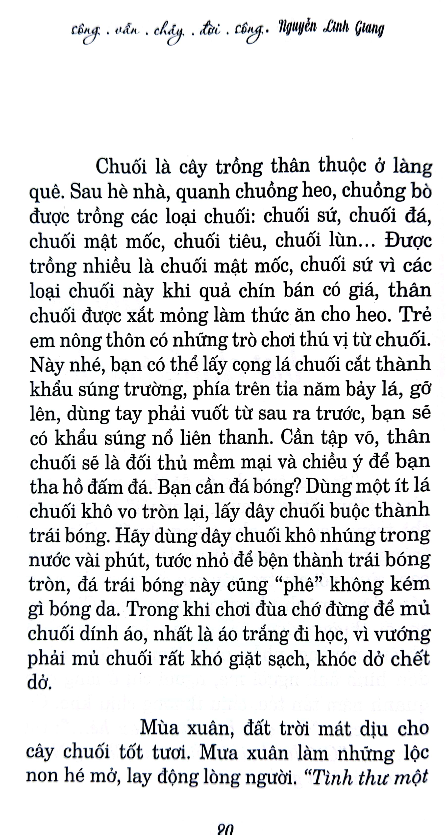 sông vẫn chảy đời sông - Ảnh 4
