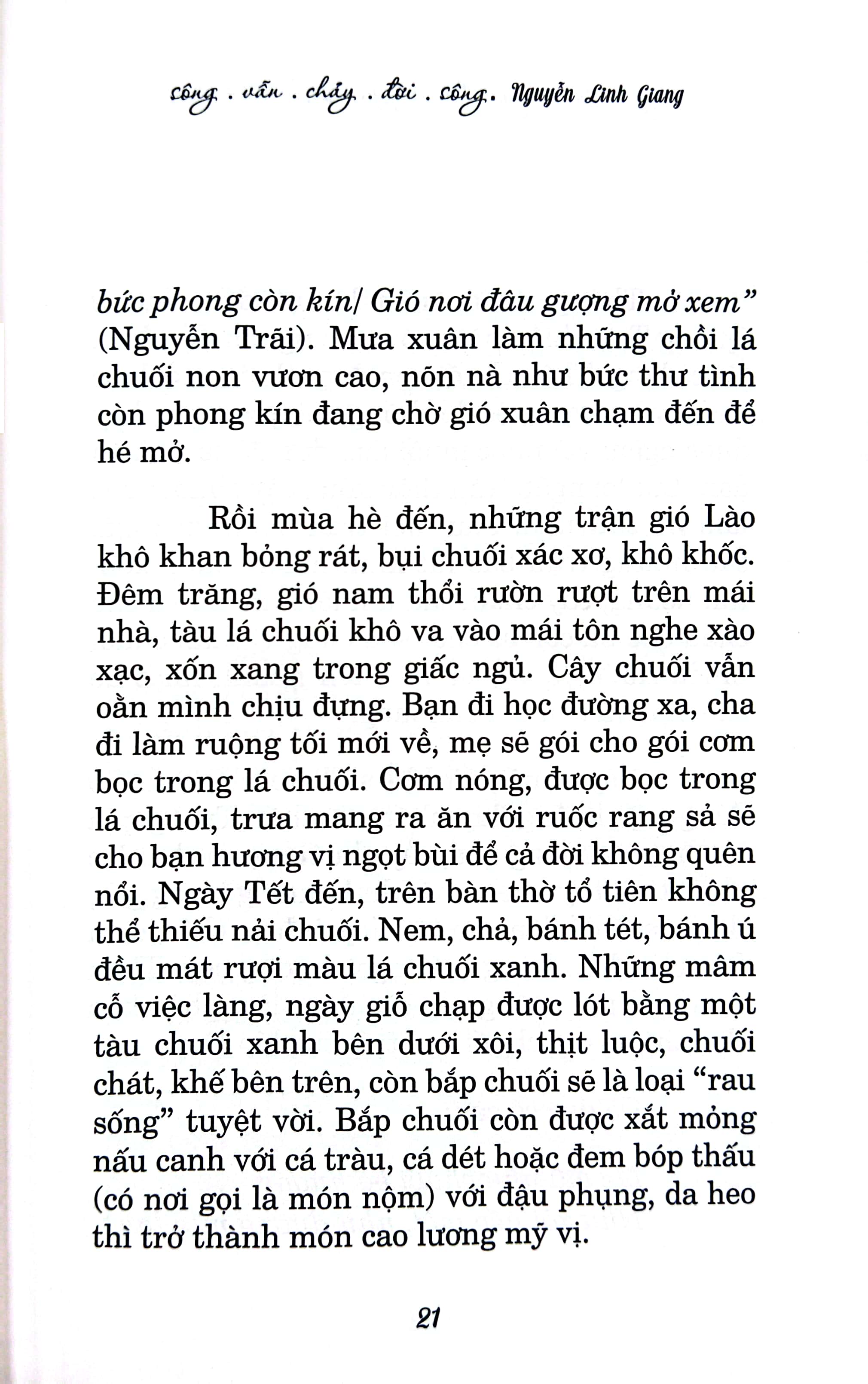 sông vẫn chảy đời sông - Ảnh 5