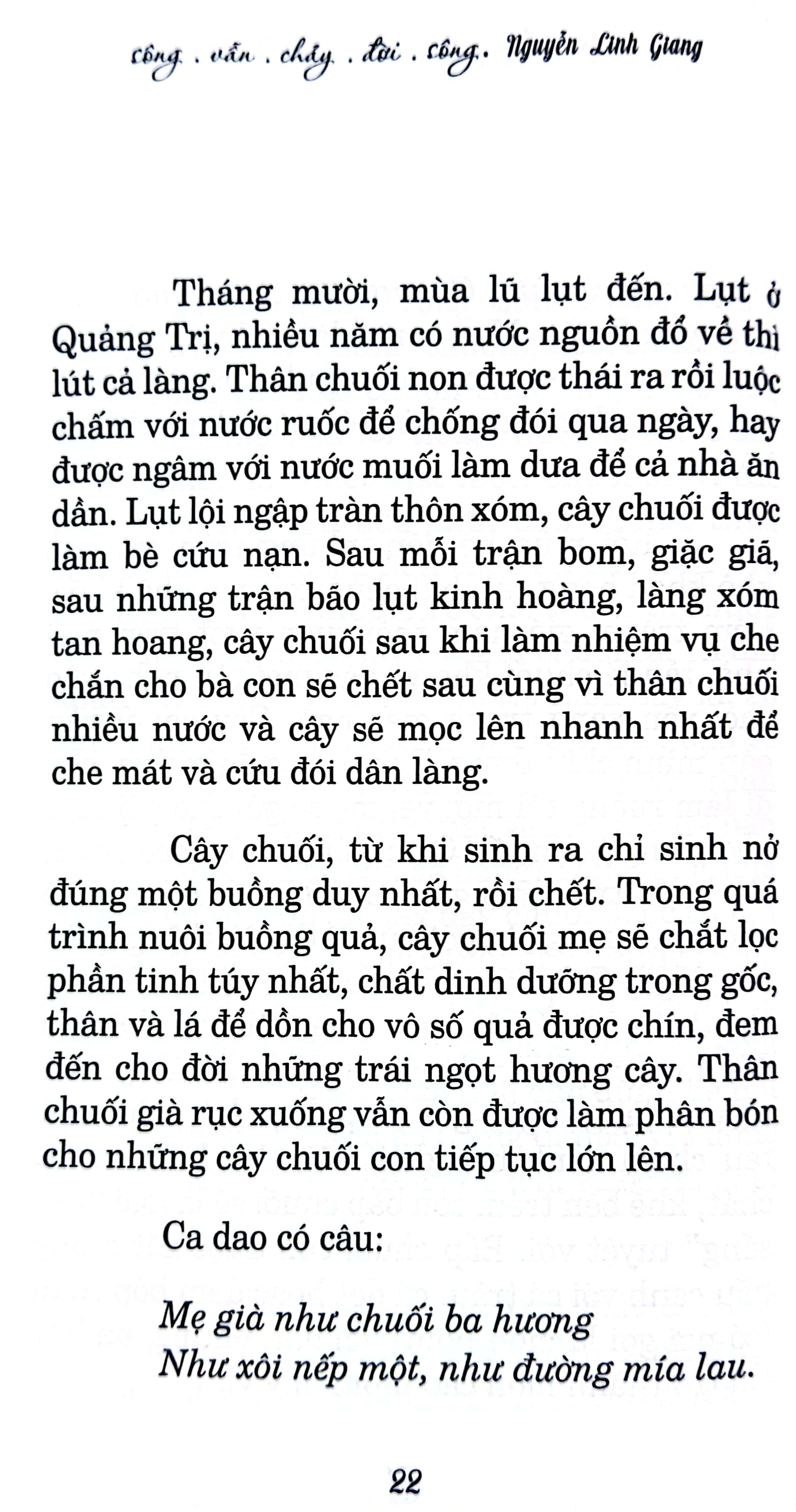 sông vẫn chảy đời sông - Ảnh 6