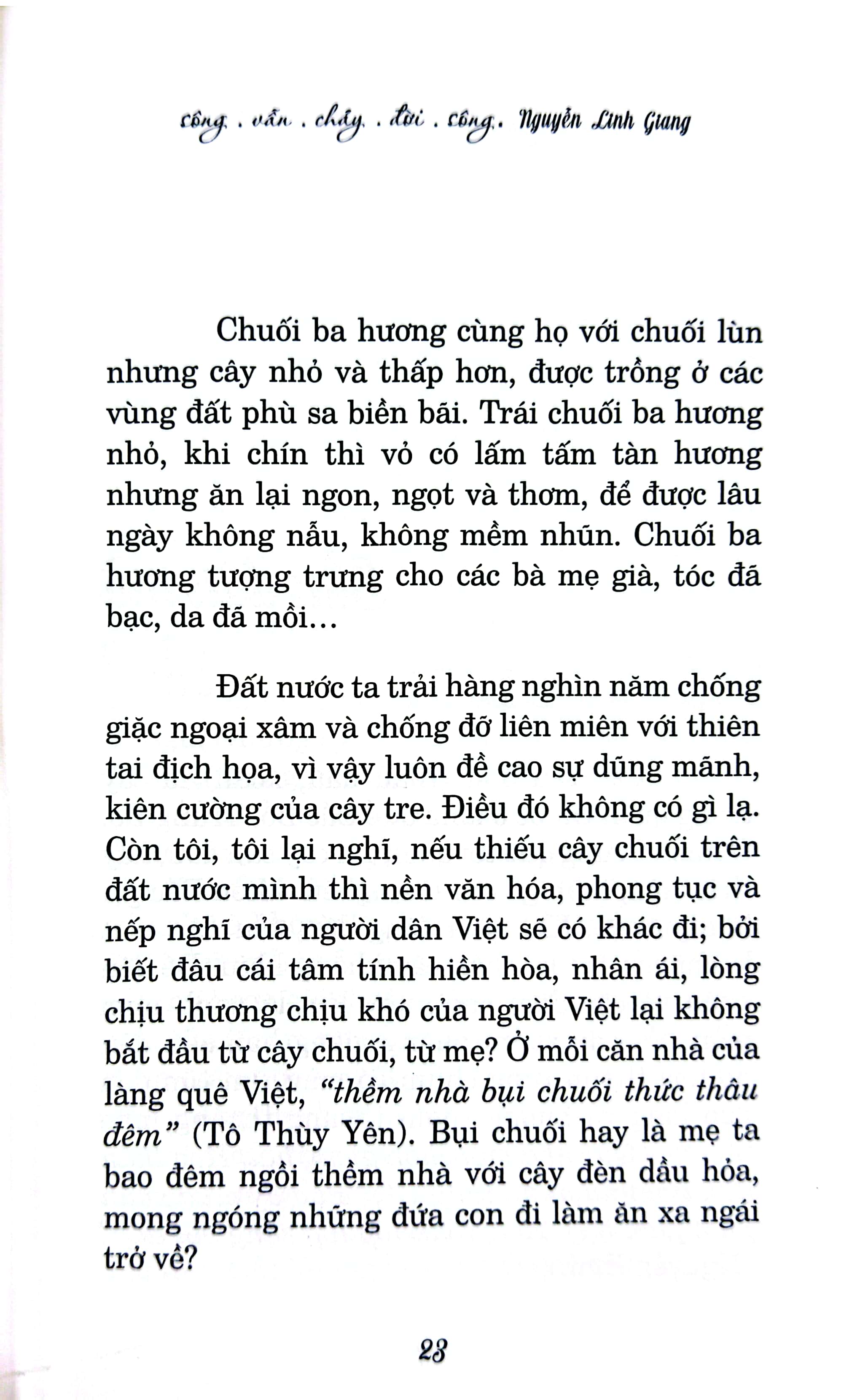 sông vẫn chảy đời sông - Ảnh 7