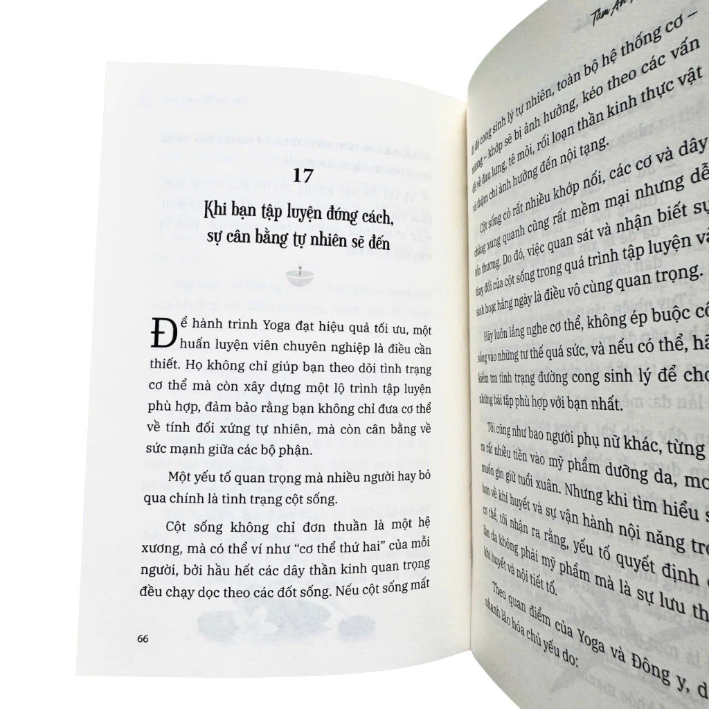 Sống, Yoga Và Thiền - Bìa Cứng - Ảnh 3