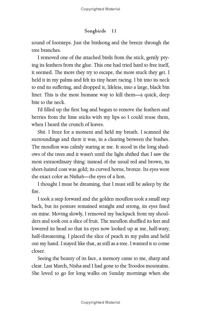 songbirds - Ảnh 11