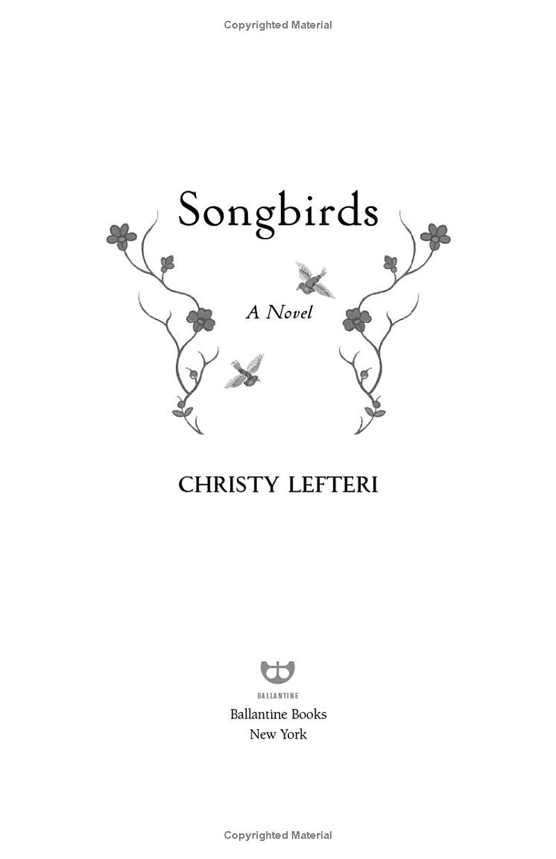 songbirds - Ảnh 2