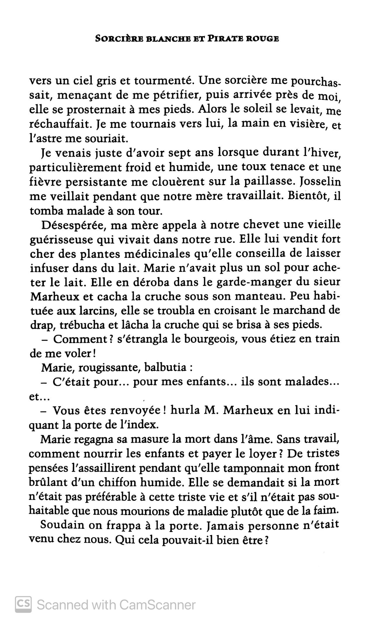 sorciere blanche et pirate rouge - Ảnh 10