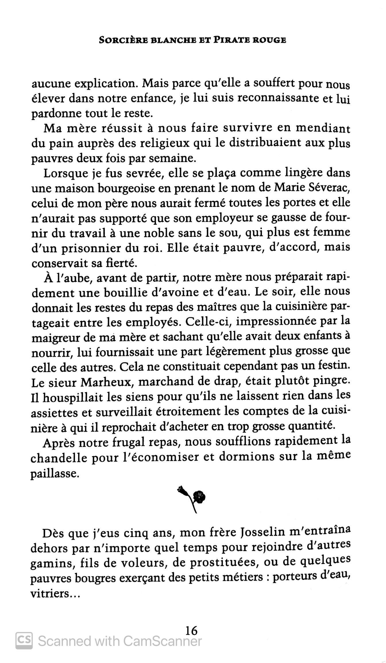 sorciere blanche et pirate rouge - Ảnh 8