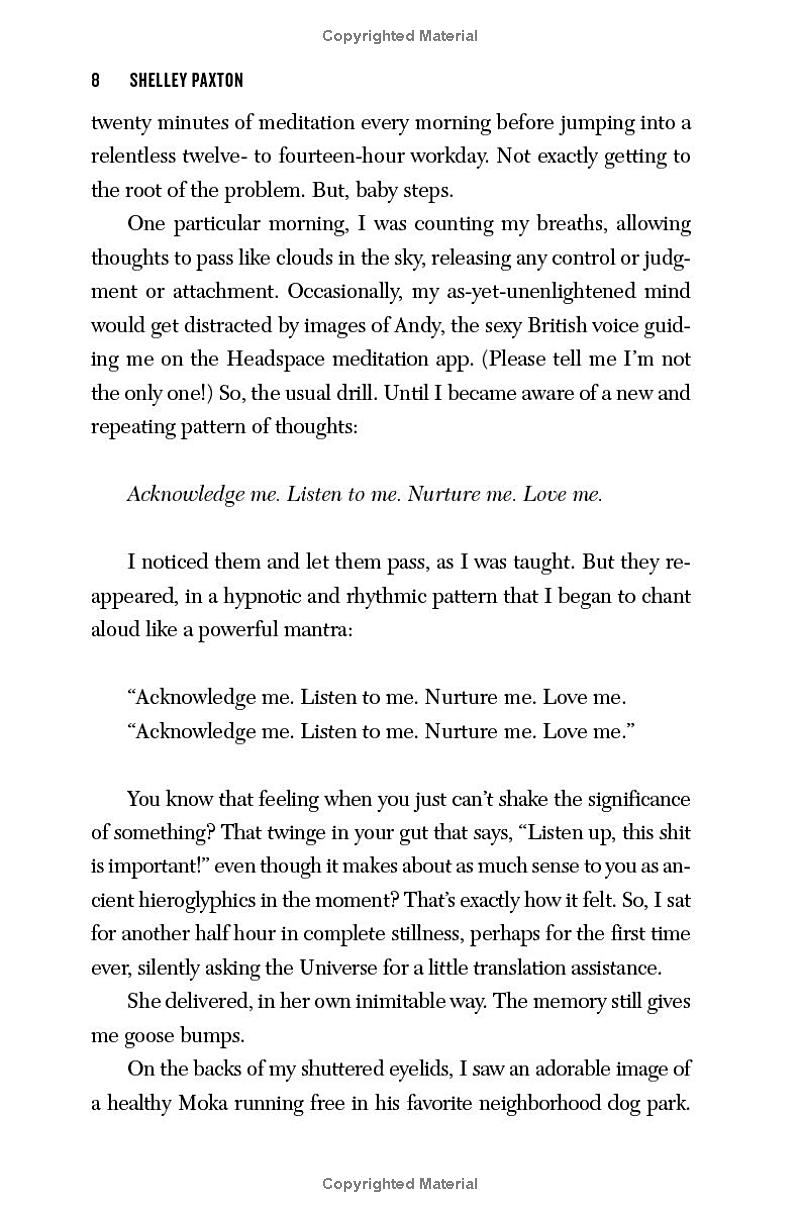 soulbbatical - Ảnh 10