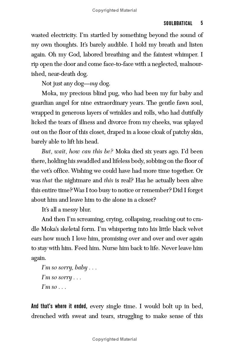 soulbbatical - Ảnh 7