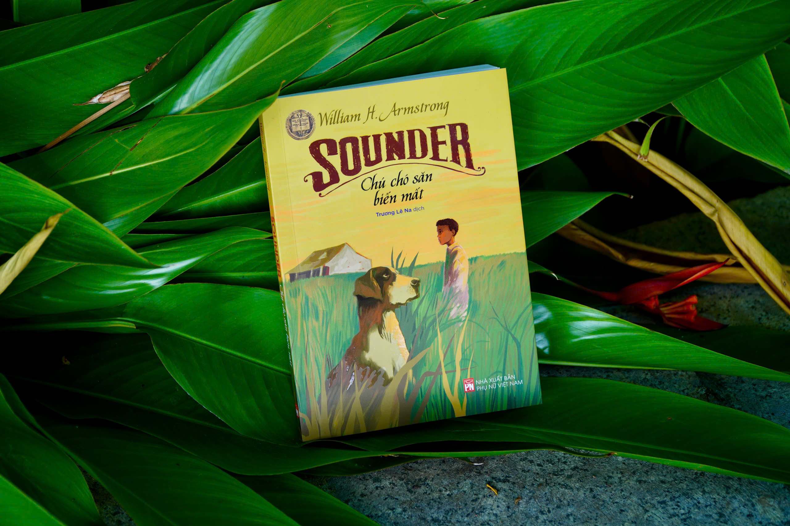 Sounder - Chú Chó Săn Biến Mất - Ảnh 3