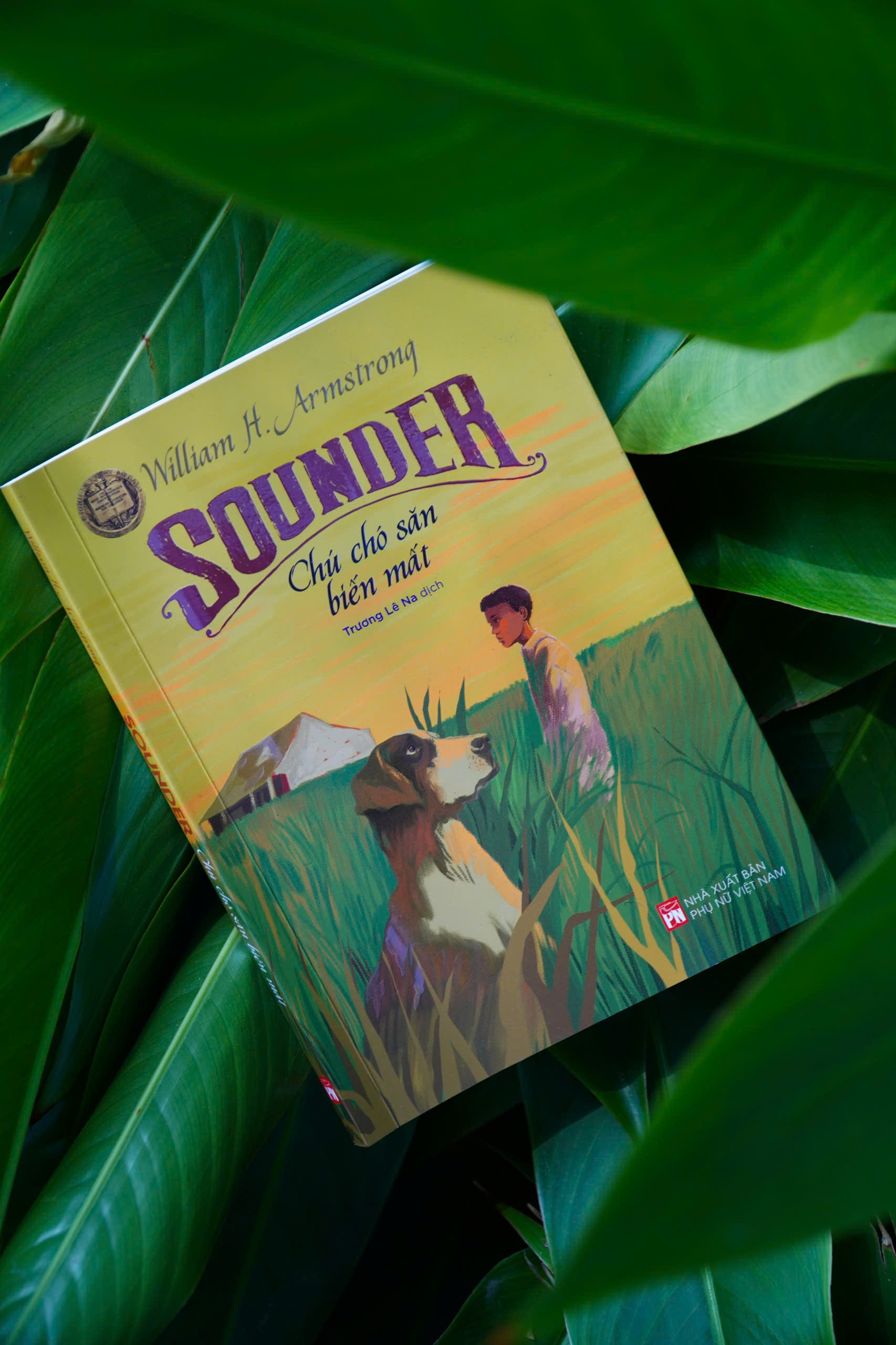 Sounder - Chú Chó Săn Biến Mất - Ảnh 4