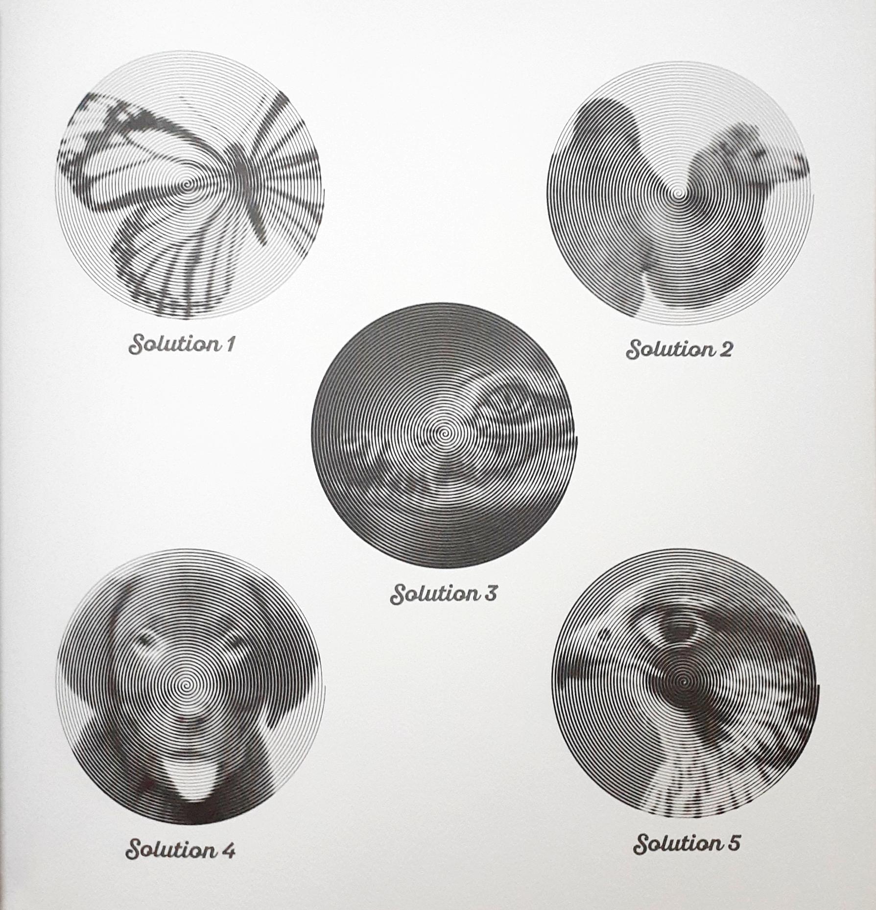 spiralscopes: amazing animals - Ảnh 5