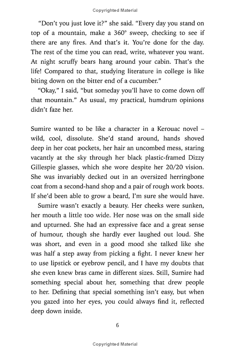 sputnik sweetheart - Ảnh 10