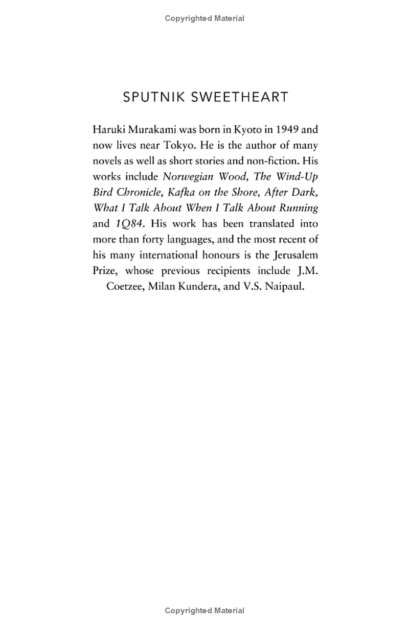 sputnik sweetheart - Ảnh 3