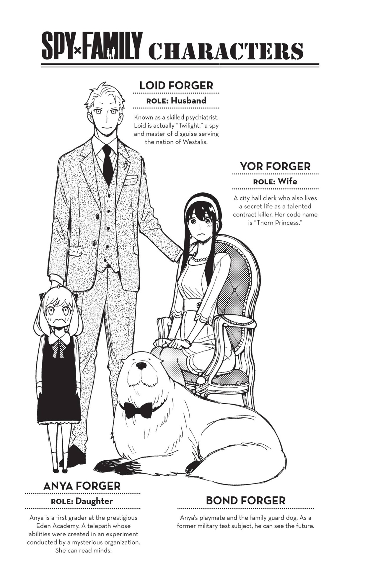 spy x family - family portrait (english edition) - Ảnh 6