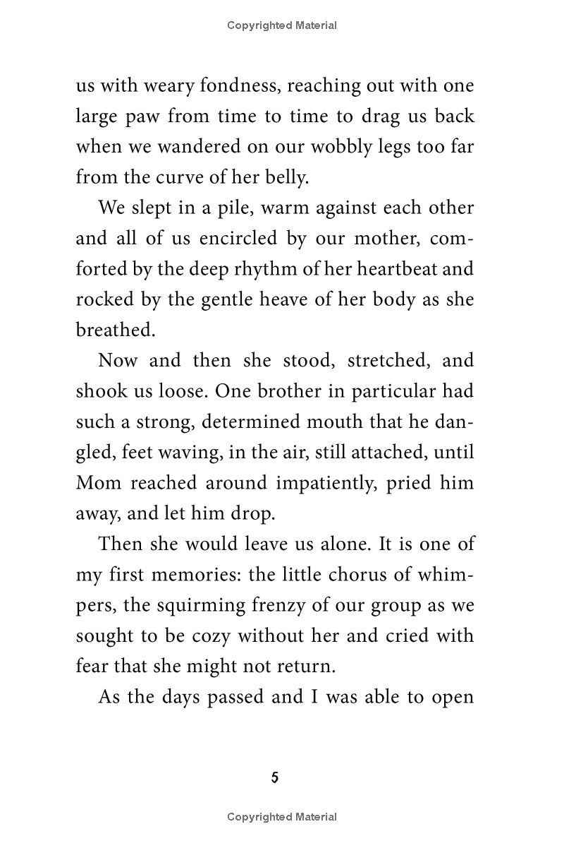 stay! keeper's story - Ảnh 10