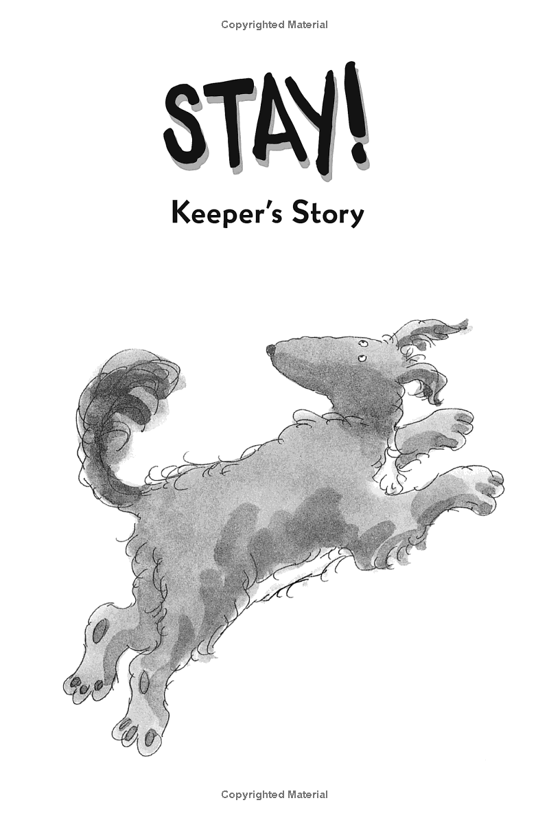 stay! keeper's story - Ảnh 3