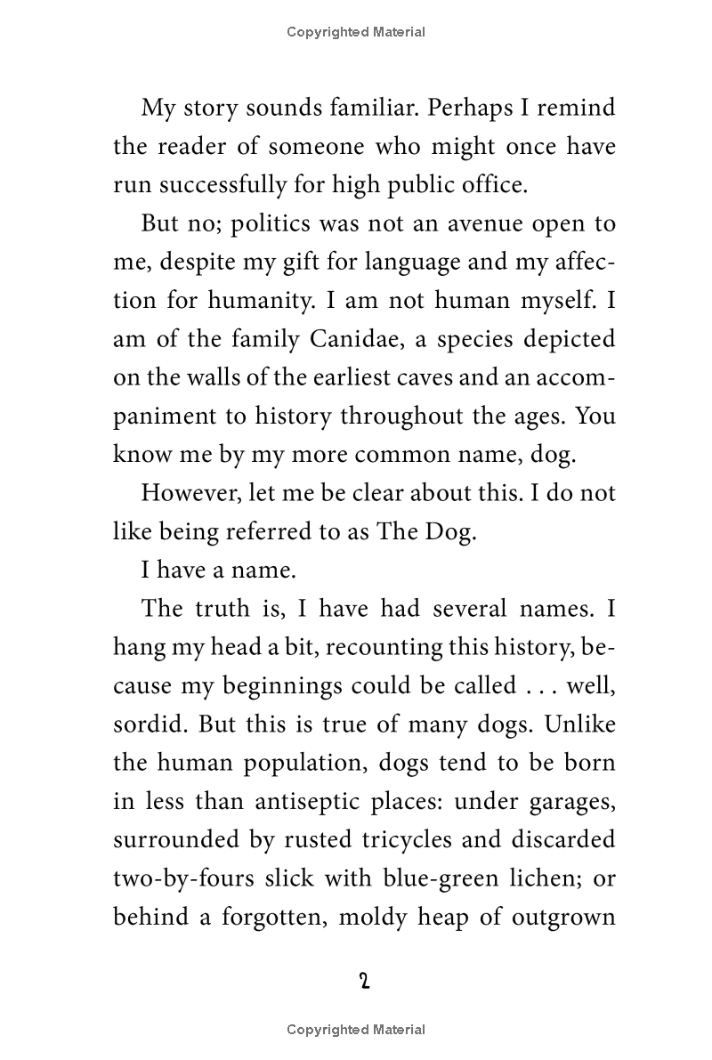 stay! keeper's story - Ảnh 7