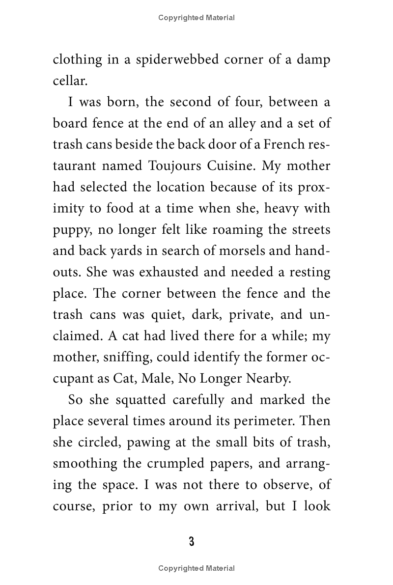 stay! keeper's story - Ảnh 8