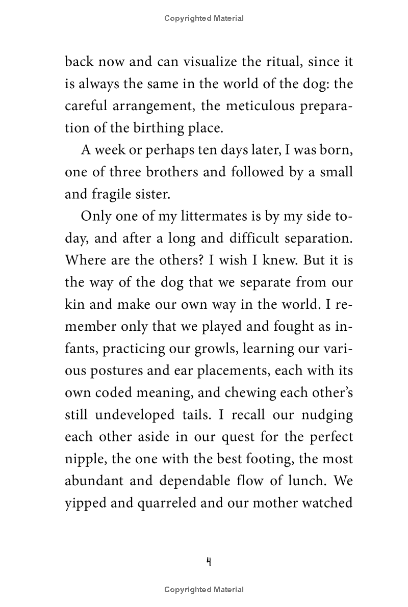 stay! keeper's story - Ảnh 9