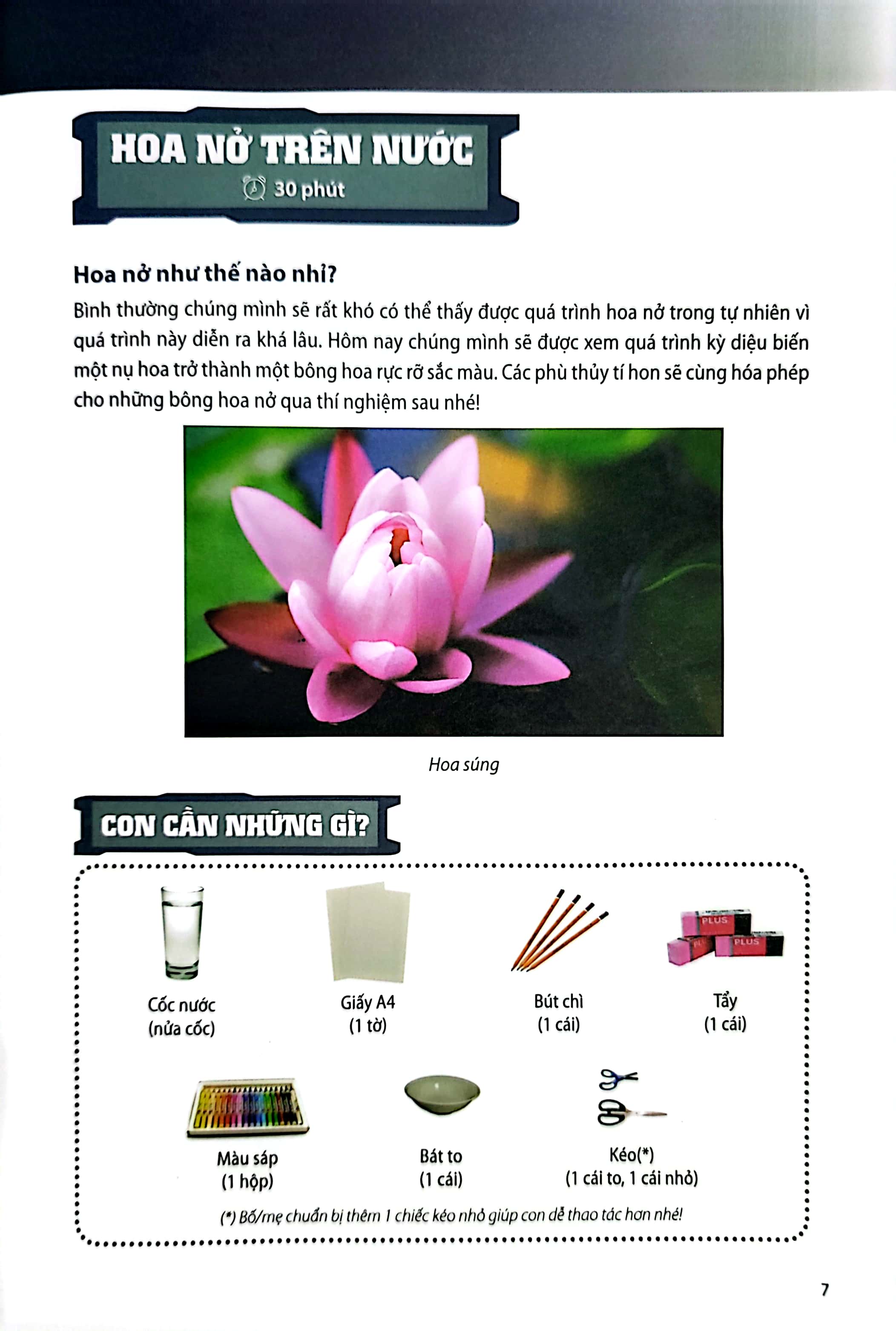 steam for kids - tớ là phù thủy tí hon (giáo dục sớm 3-6 tuổi) - Ảnh 5