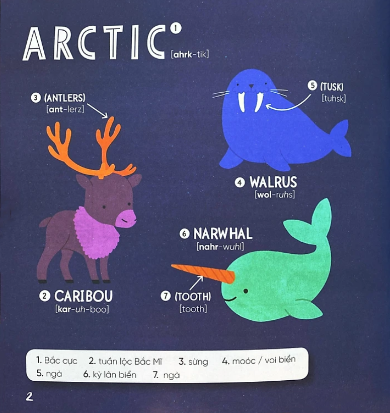 steam words: animals - từ vựng về động vật - Ảnh 3