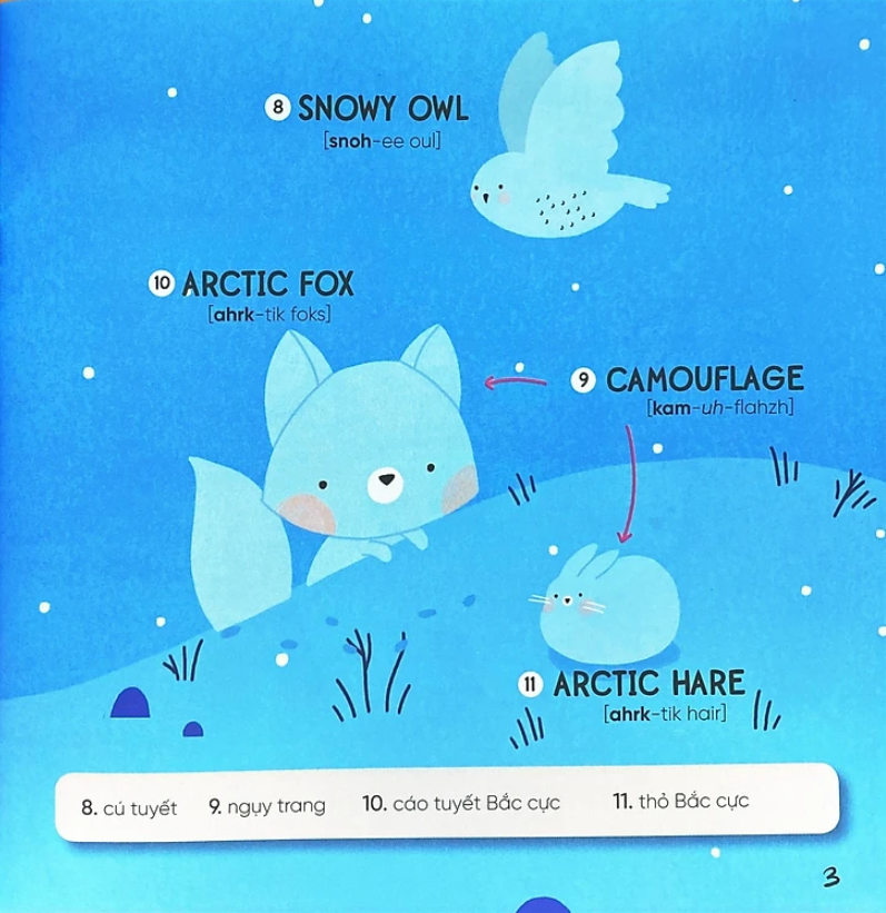 steam words: animals - từ vựng về động vật - Ảnh 4