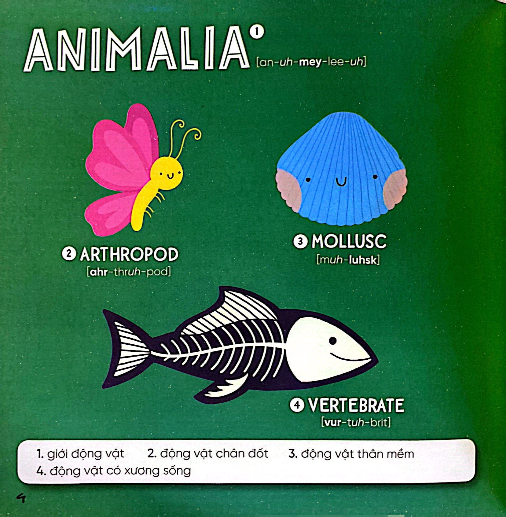 steam words nature - từ vựng về tự nhiên - Ảnh 3