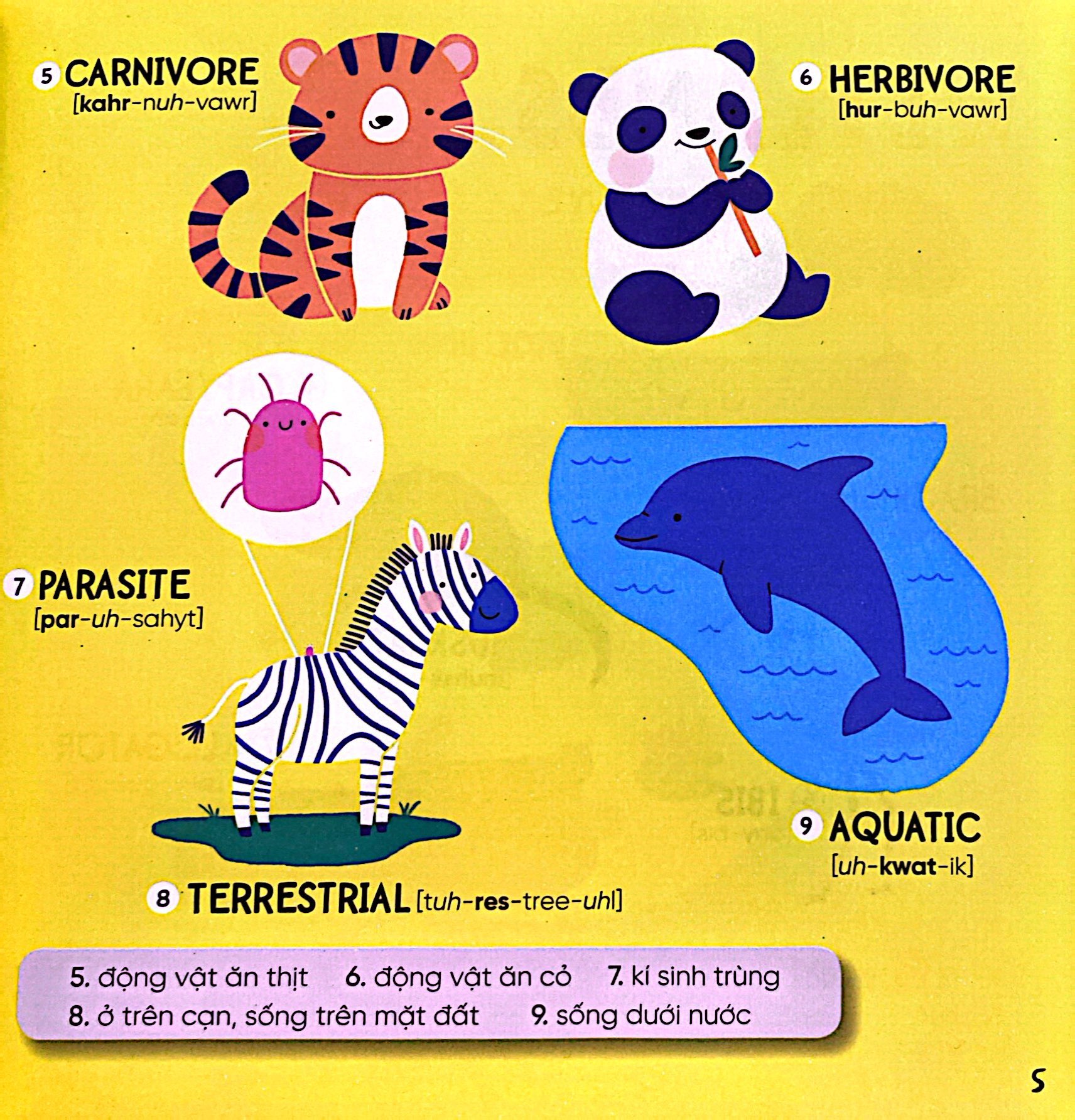 steam words nature - từ vựng về tự nhiên - Ảnh 4