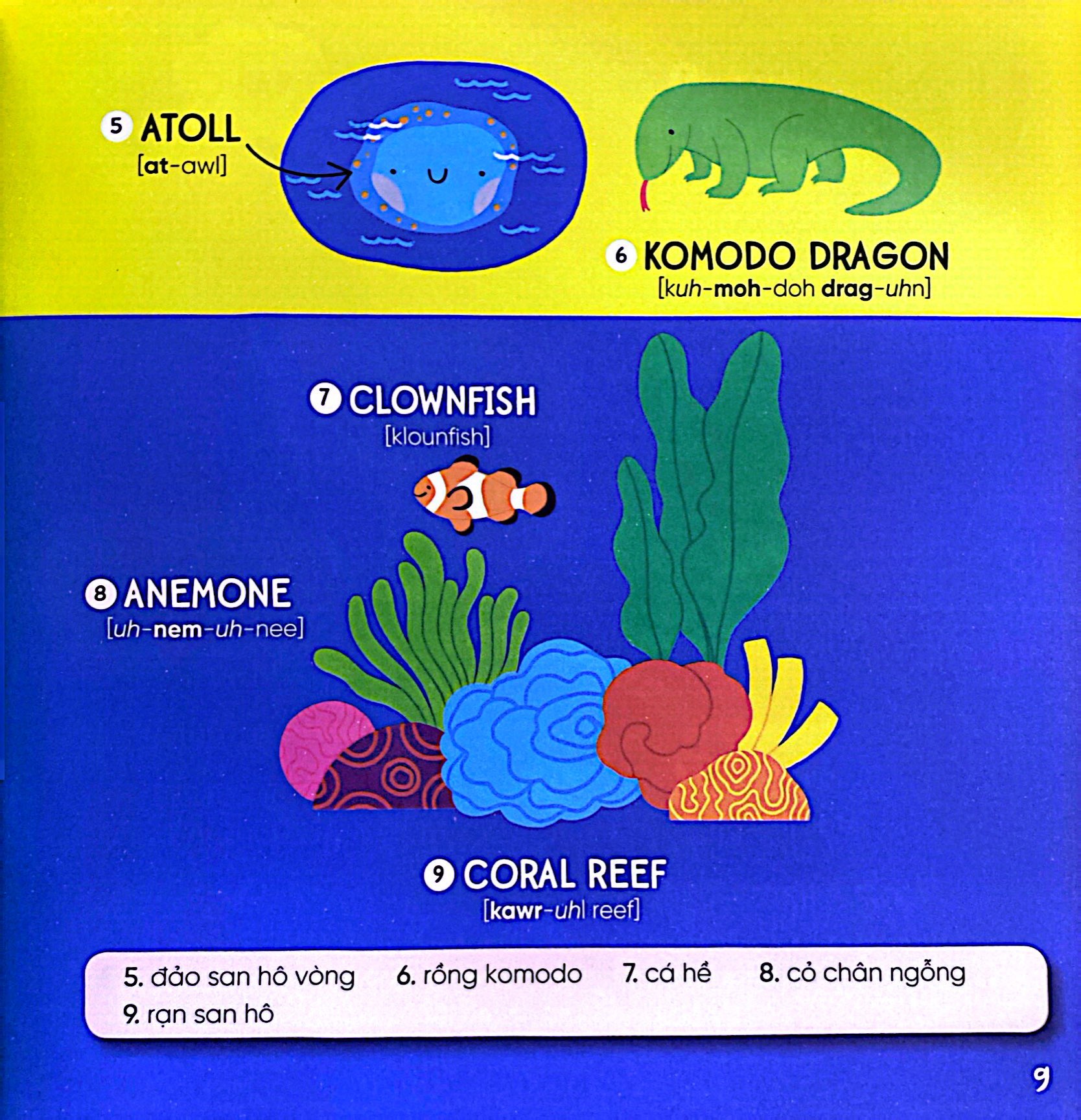 steam words nature - từ vựng về tự nhiên - Ảnh 6