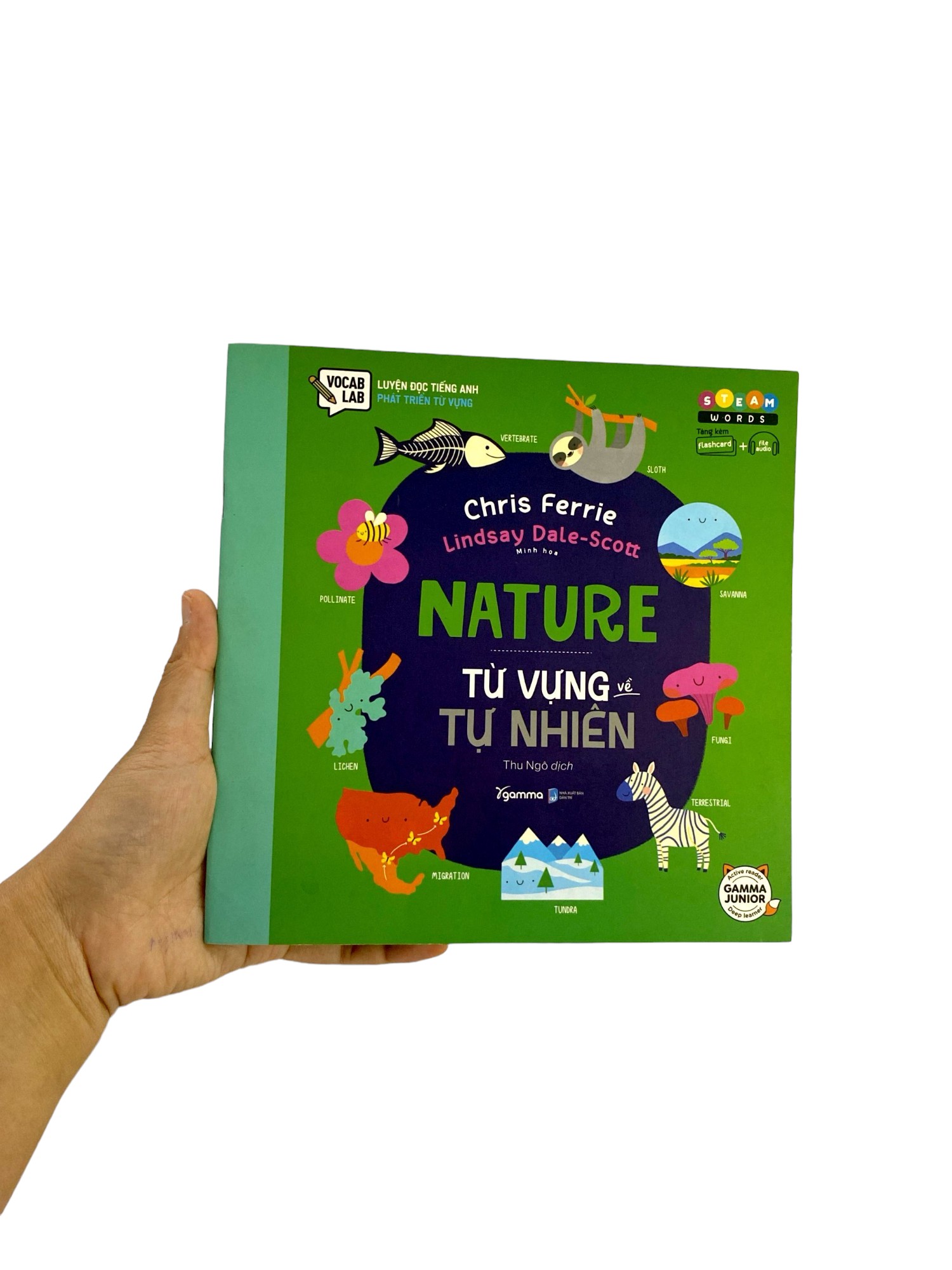 steam words nature - từ vựng về tự nhiên - Ảnh 8