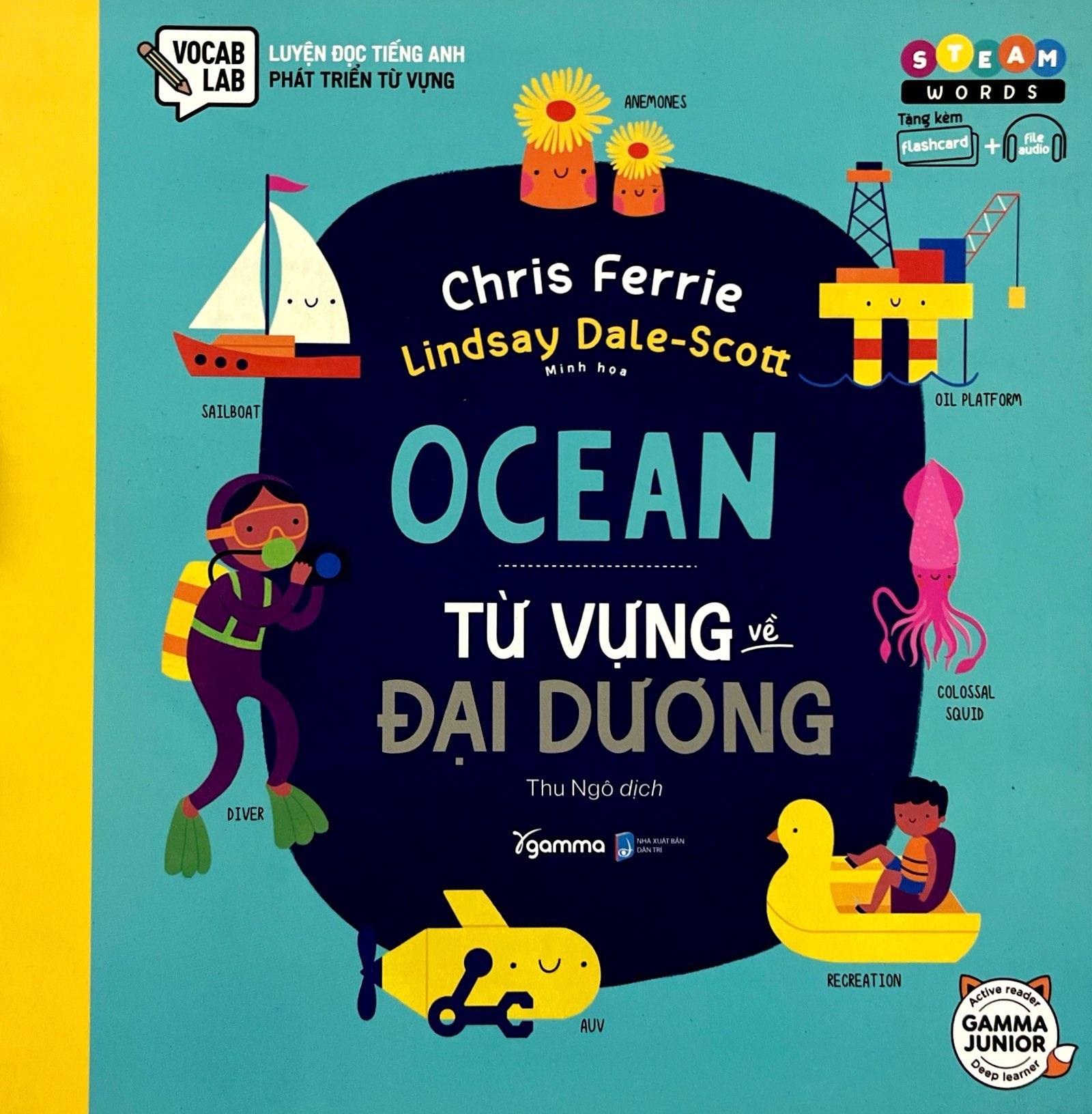 steam words ocean - từ vựng về đại dương - Ảnh 3