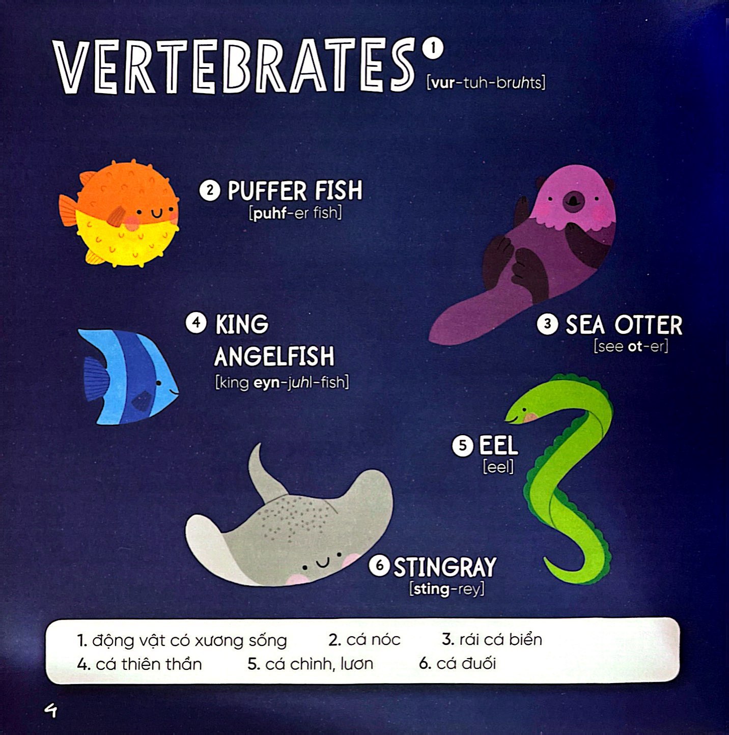 steam words ocean - từ vựng về đại dương - Ảnh 7