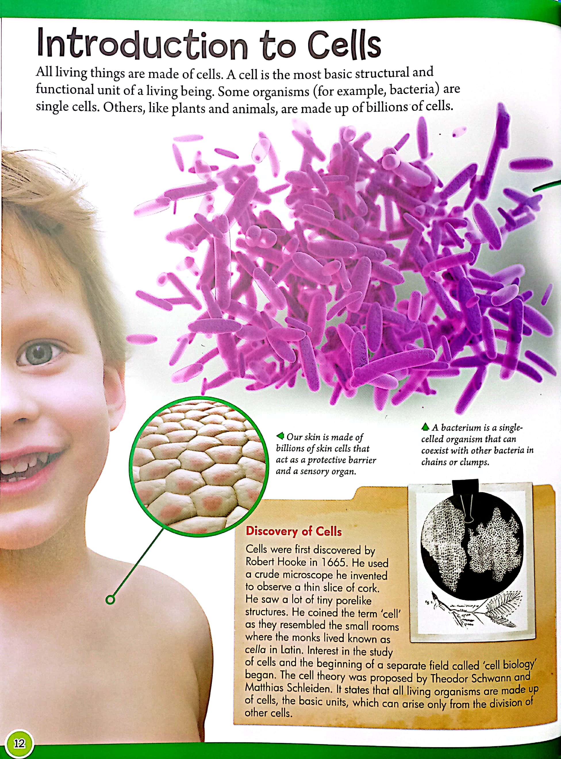 stem - a first introduction to science: discover biology, chemistry & physics - Ảnh 4