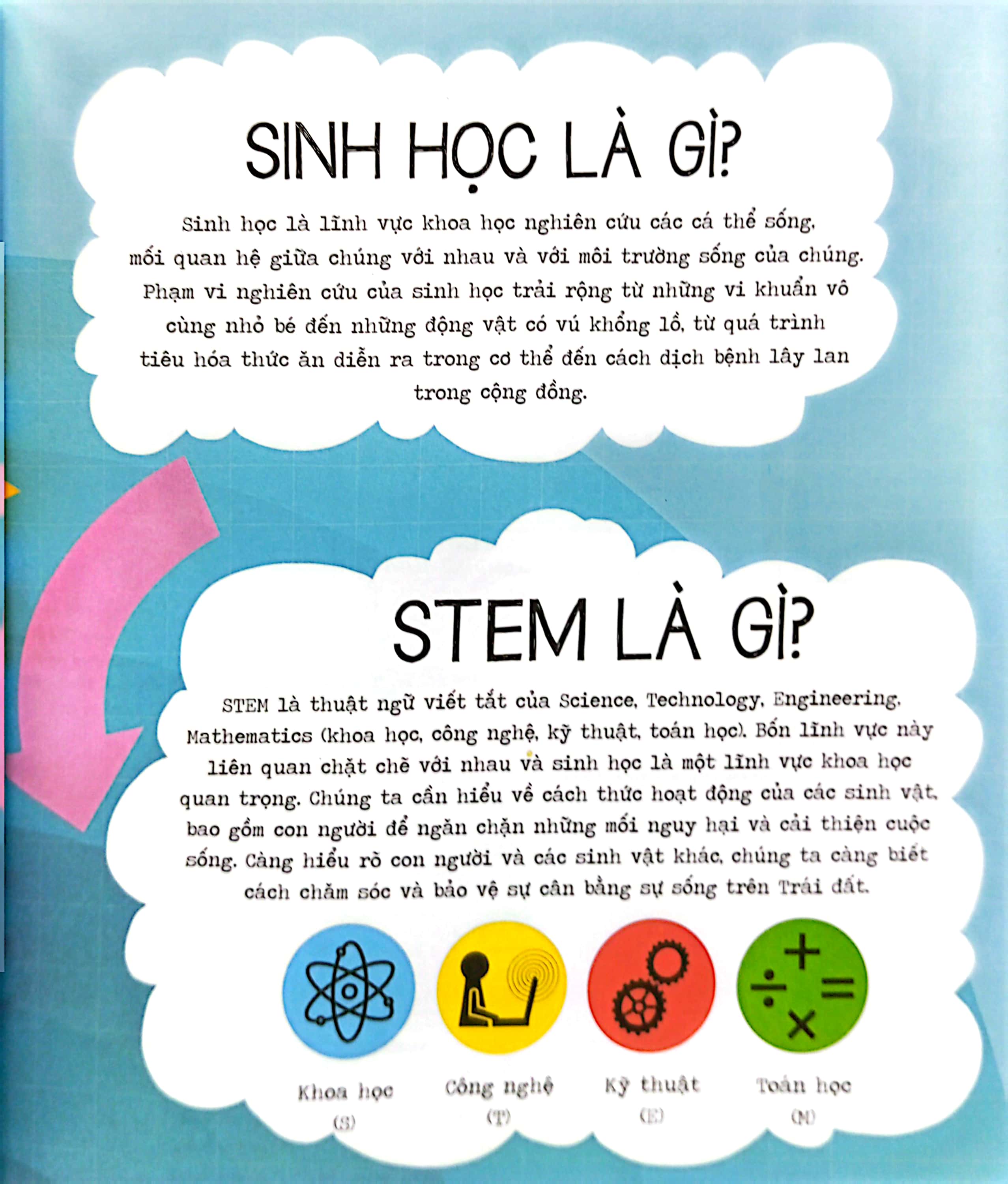 stem quanh em - sinh học siêu kỳ thú - Ảnh 3