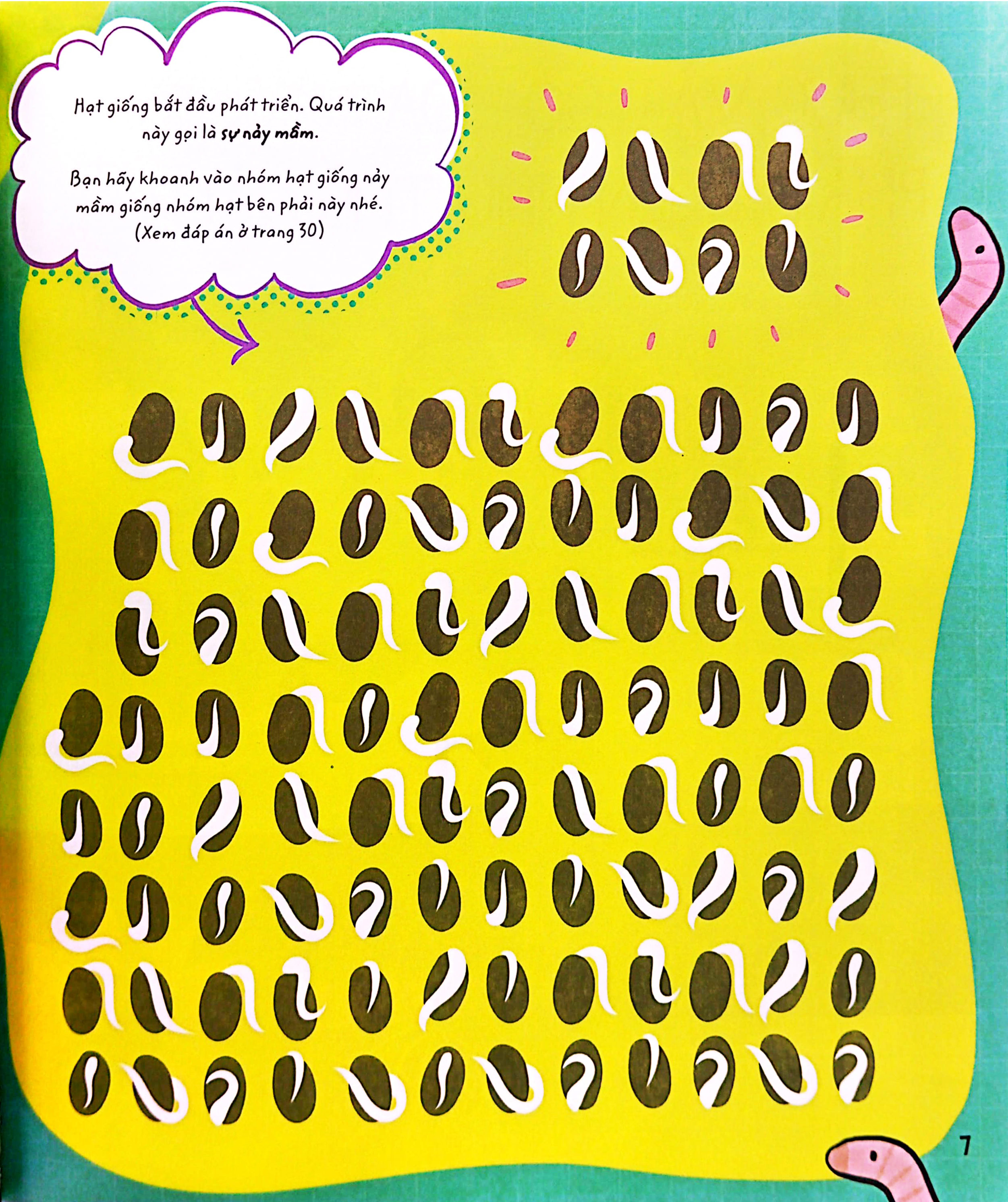 stem quanh em - sinh học siêu kỳ thú - Ảnh 6