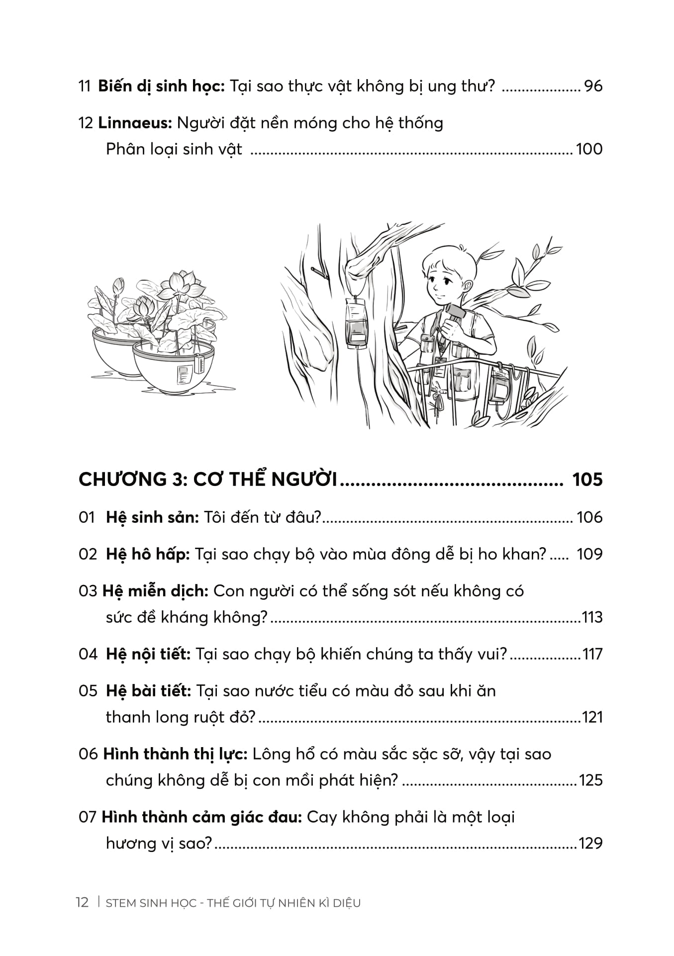 stem sinh học - thế giới tự nhiên kì diệu - Ảnh 5