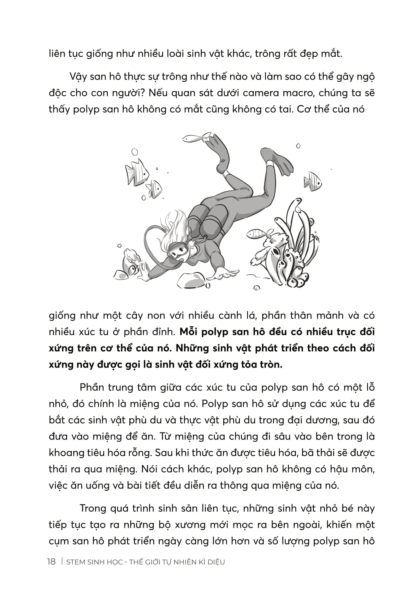 stem sinh học - thế giới tự nhiên kì diệu - Ảnh 7