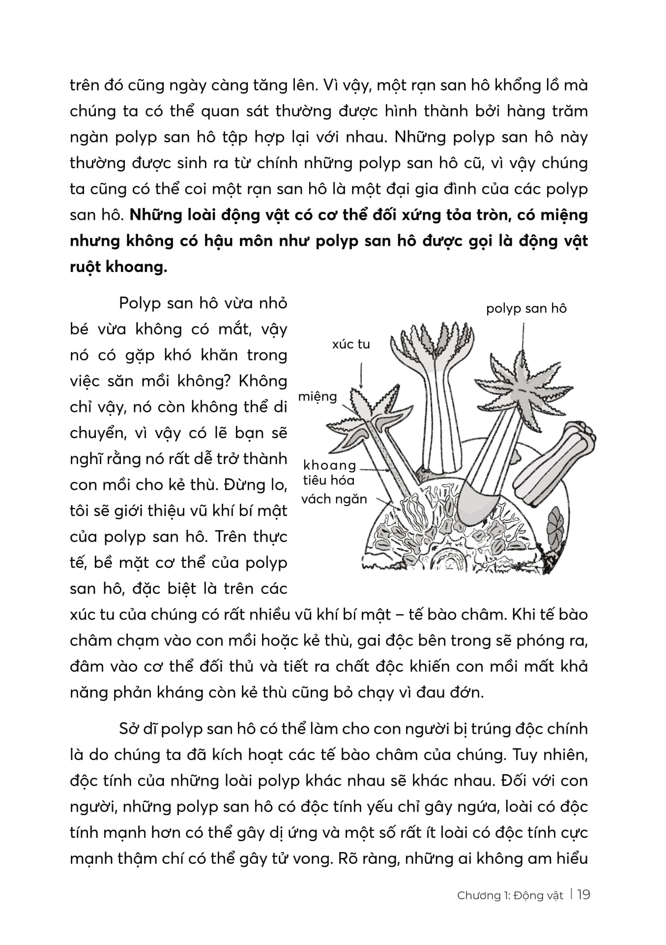 stem sinh học - thế giới tự nhiên kì diệu - Ảnh 8