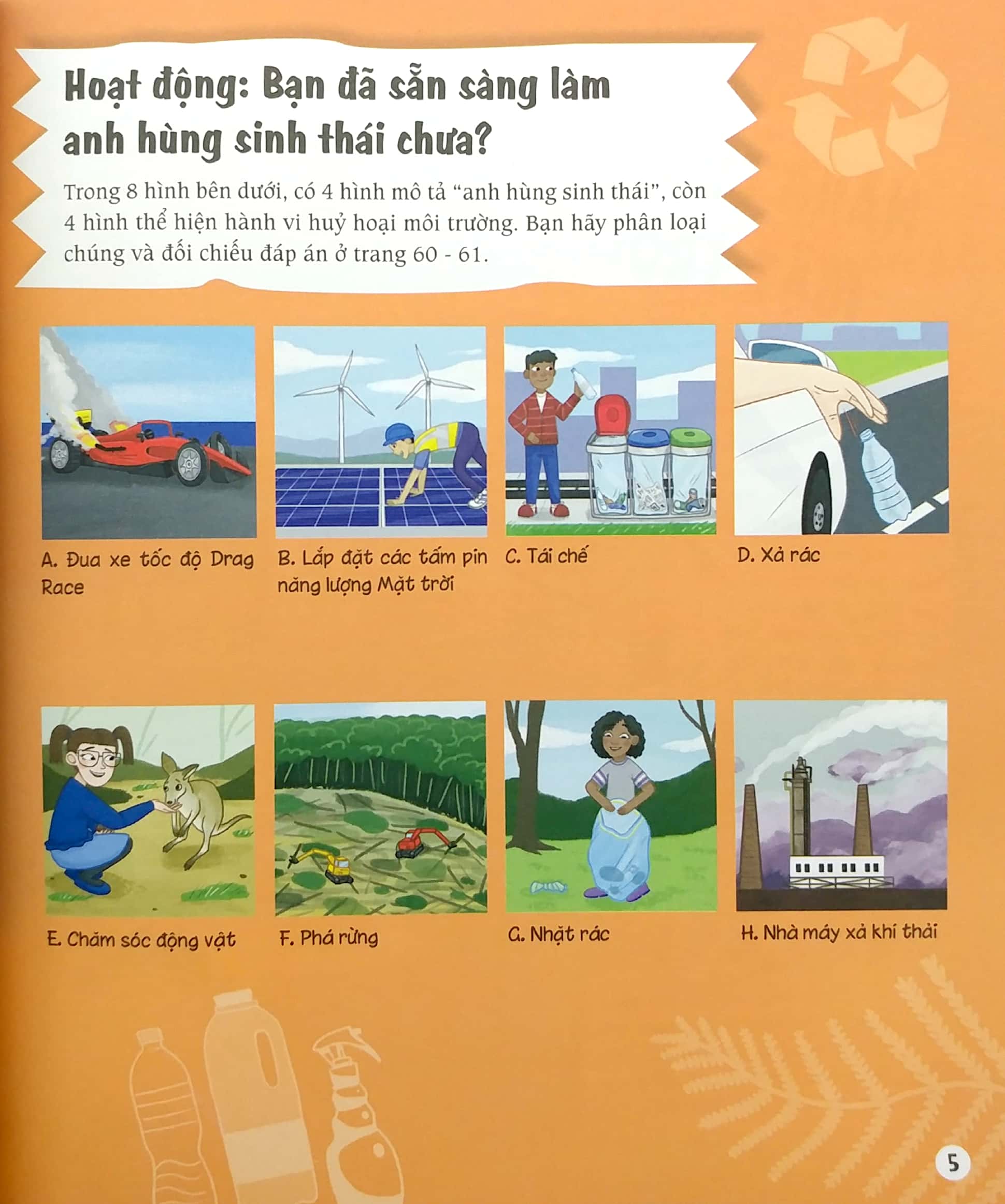 stem - tớ là nhà sinh thái học - Ảnh 5