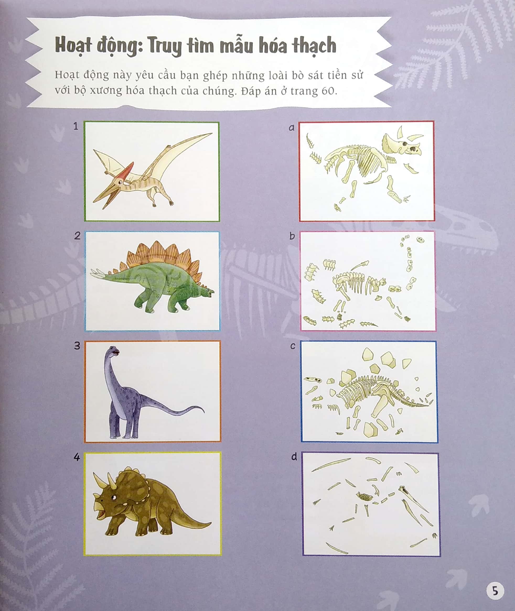 stem - tớ là thám tử khủng long - Ảnh 5